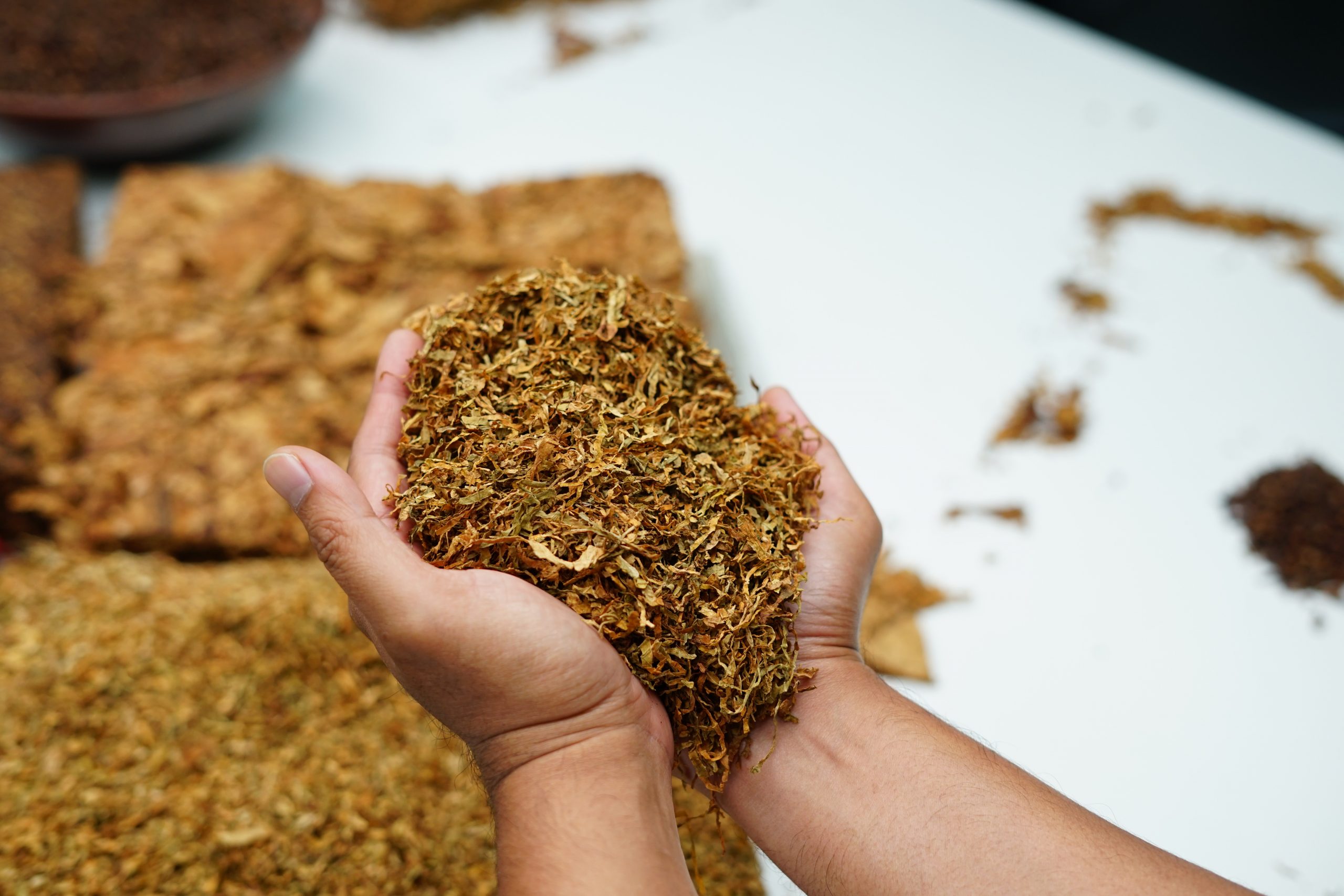 tobacco leaf exporter Best Raw Tobacco Leaf Exporter from India to Afghanistan